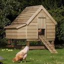Large Chicken Coop