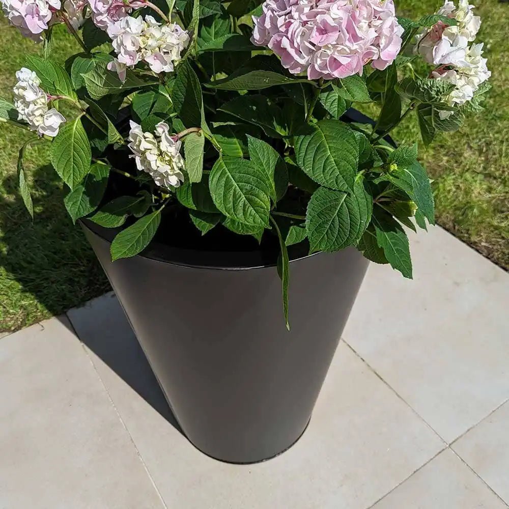 Group of large plant pots filled with colorful flowers.