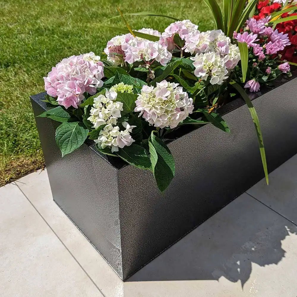 Assorted garden planters brimming with greenery.
