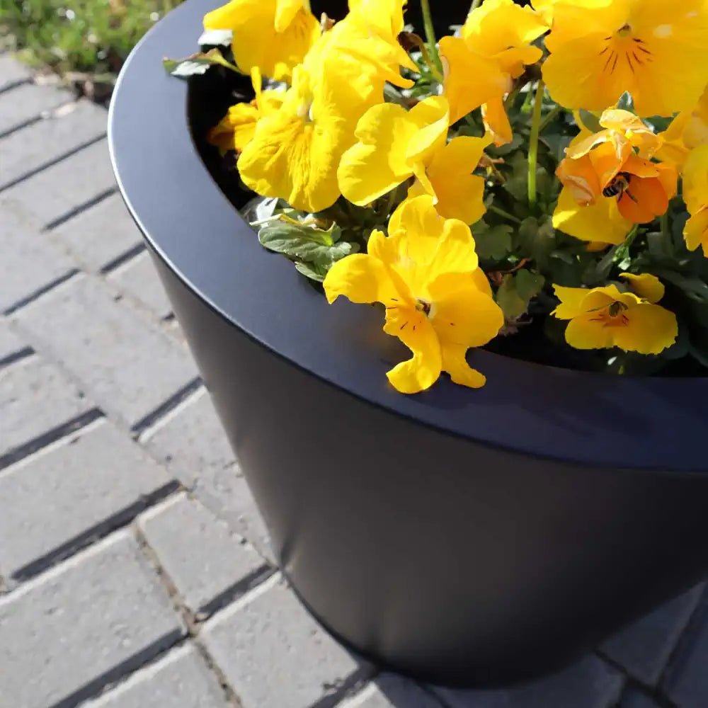 Cone Planter with flowers in for outdoor spaces