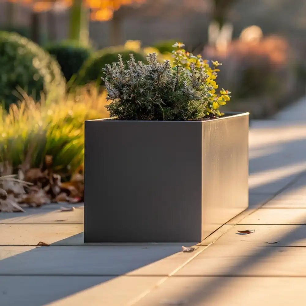 Large grey trough planter serving as a striking focal point in a courtyard.