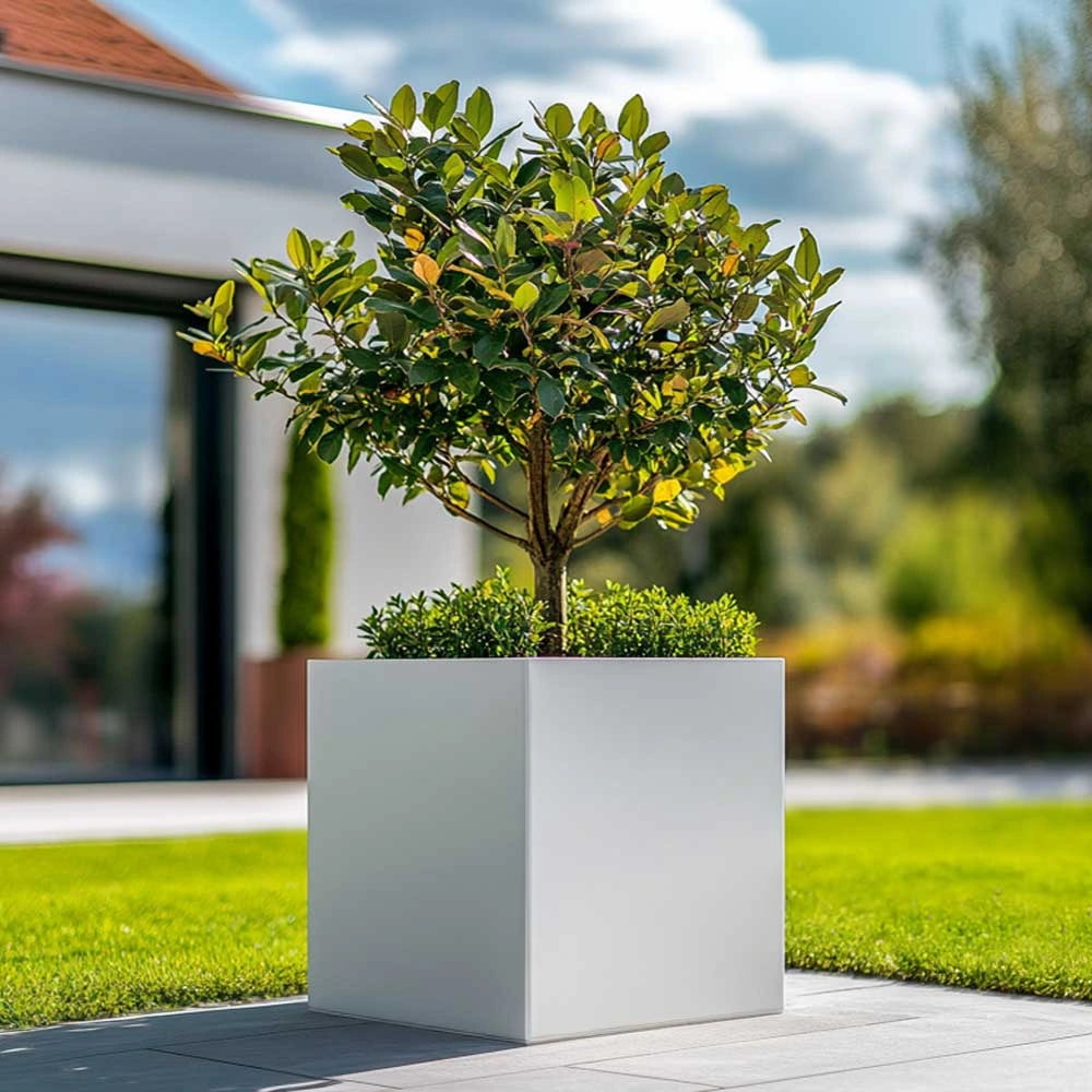 matte white planters for trees woven wood