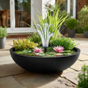 Wildlife Pond In A Pot | Complete Kit with Bowl, Plants & Fountain