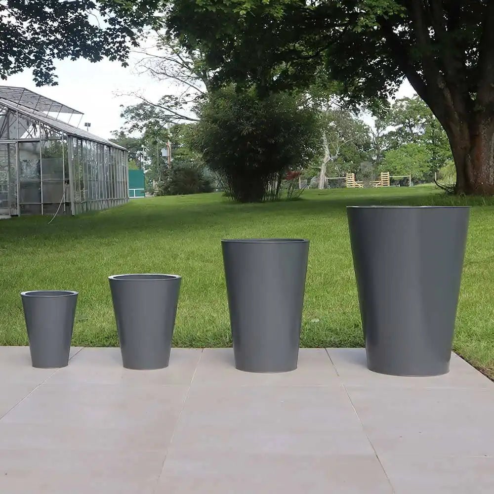 Large plant pots with small trees in a courtyard