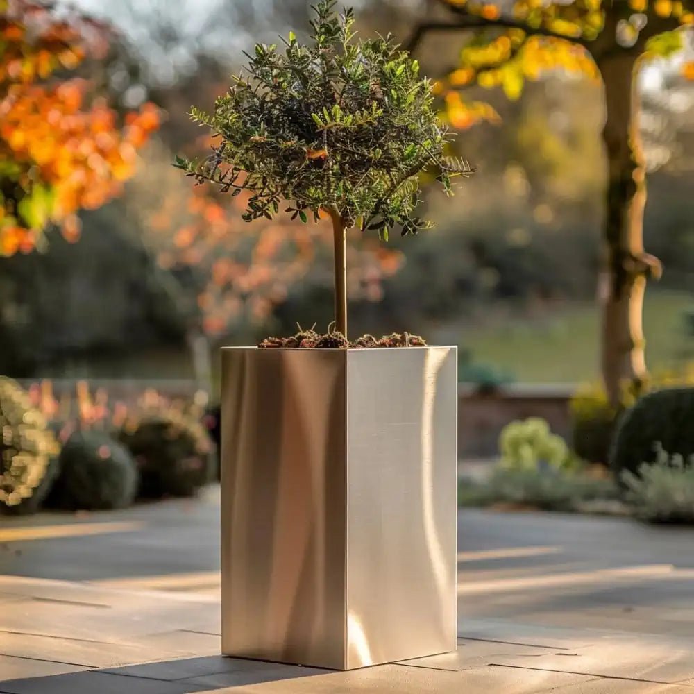 Reflective silver planters catching the eye with their brilliance.
