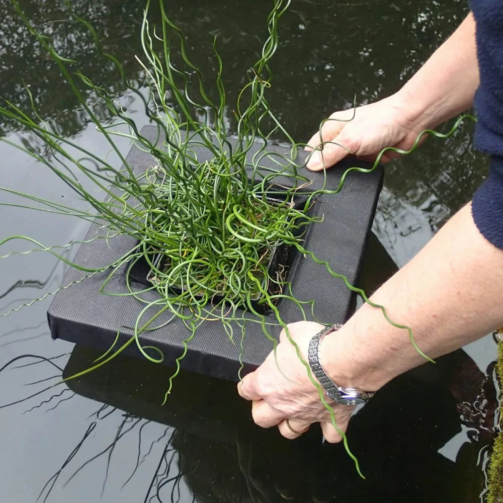 Small Square Floating Basket