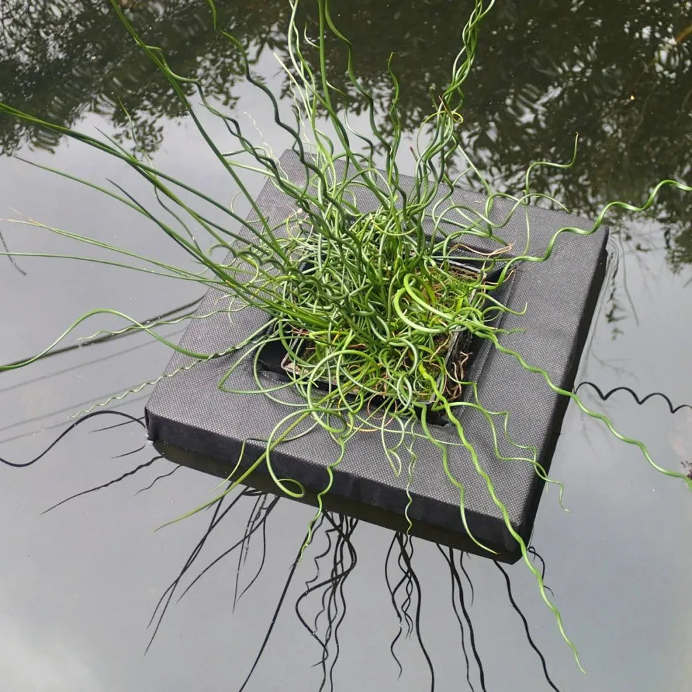 Small Square Floating Basket