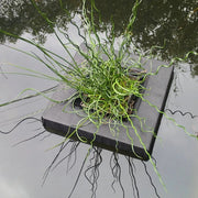 Small Square Floating Basket