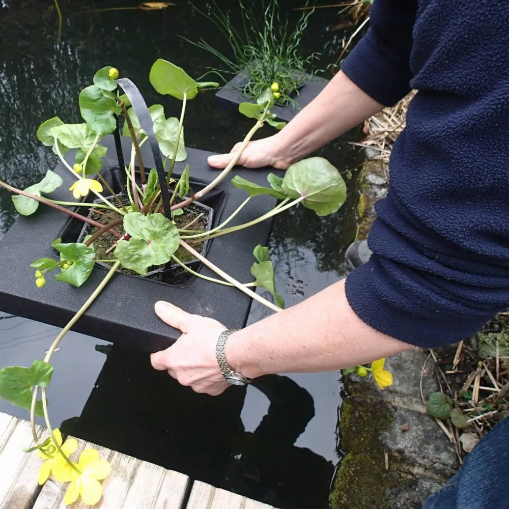 Large Square Floating Basket