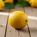 2ft Patio Lemon Tree | 4 Seasons Lemon | Grafted Tree in a 2L Pot | 3 Sizes