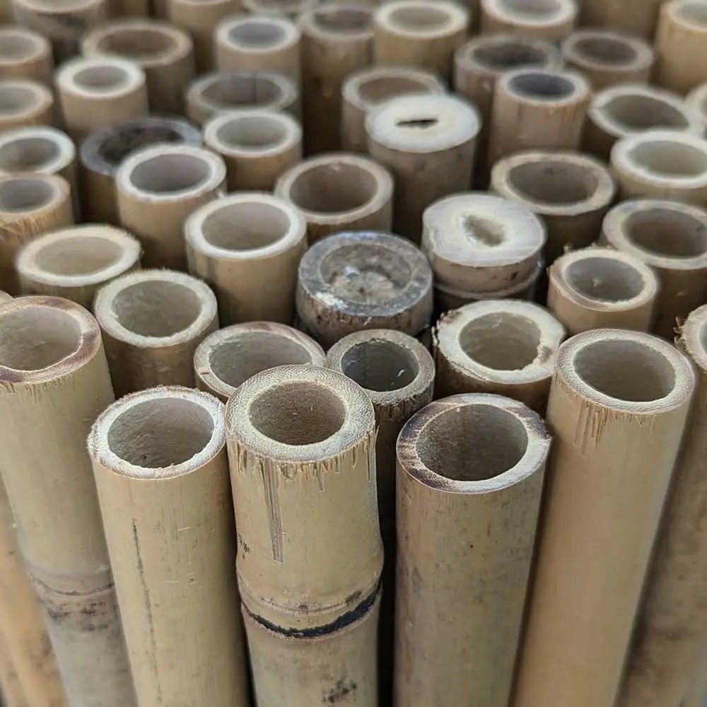 Natural Premium Thick Bamboo Cane Fencing Screening Rolls