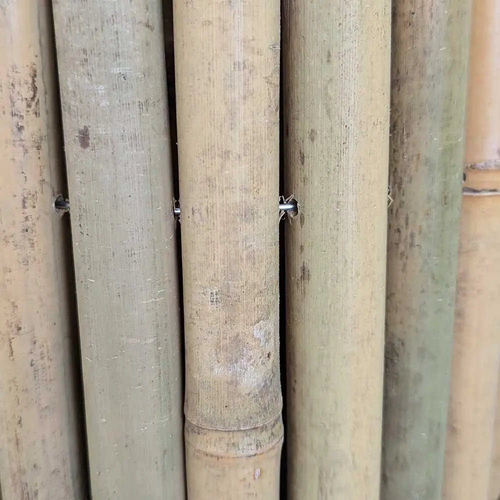 natural thick bamboo screening closeup