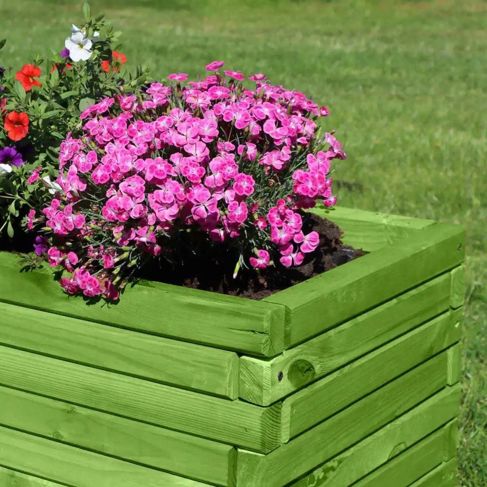 A collection of garden planters filled with blooming flowers.
