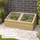 Large Timber Cold Frame #109cm(L) x 63(W) x 36(H)