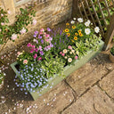 100cm Zinc Galvanised Sage Green Trough Planter