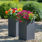 Large flower pot serving as a centerpiece, filled with lush foliage.
