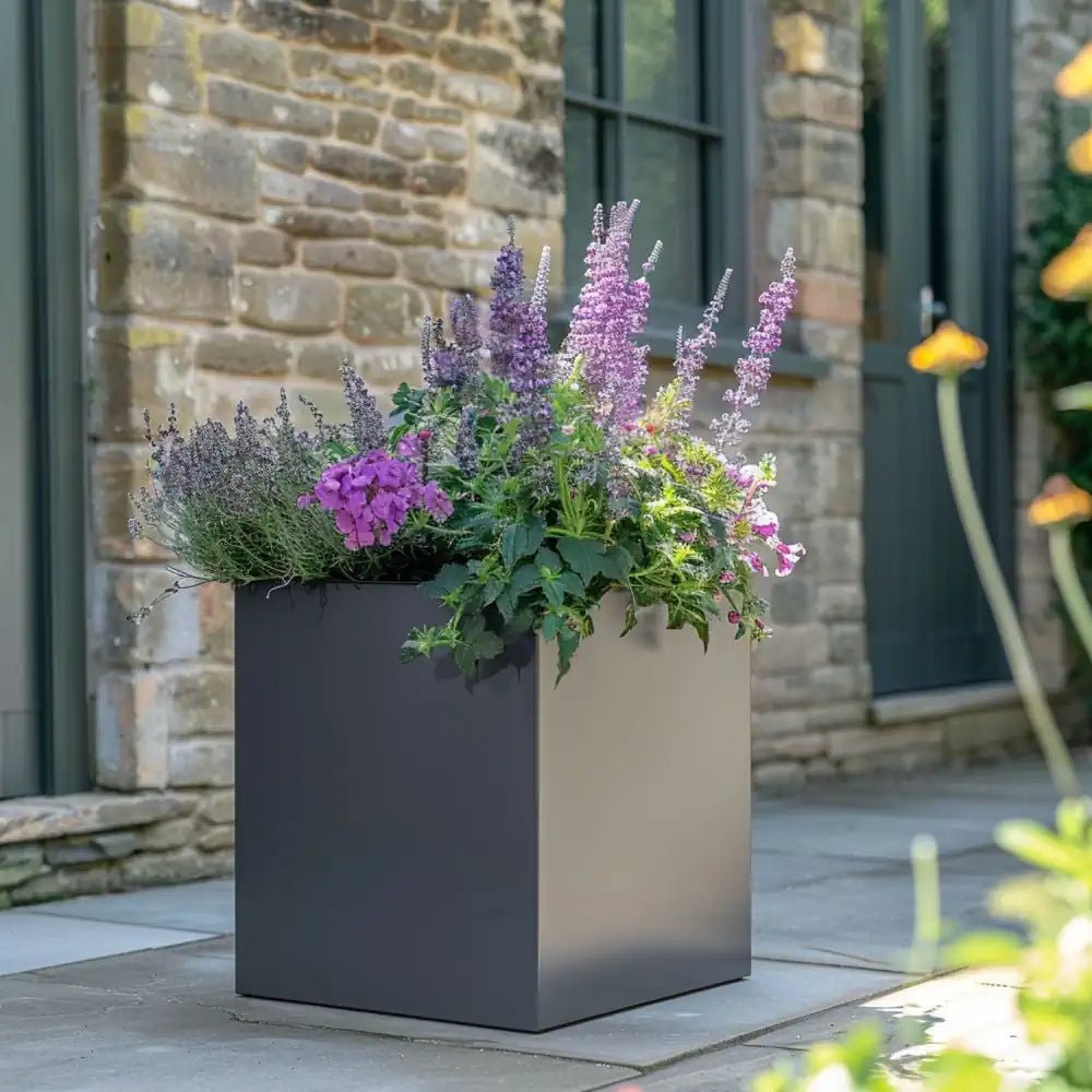 Large planters filled with tall, leafy plants, creating a verdant oasis.