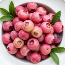 3 Pink Lemonade Blueberry Plants | 2L Pots