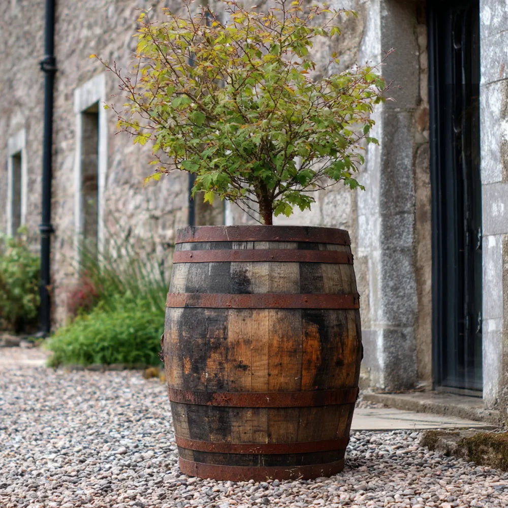 65-70cm Rustic Full Barrel Oak Tree Planter – Woven Wood