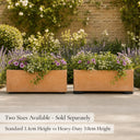 12 Invisible Thick Rubber Pot Feet with Non-Slip Surface Grip & Adhesive Pads - 7cm Diameter 3cm Tall