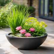 #with Lily #with Deep Water Plant #No Fountain