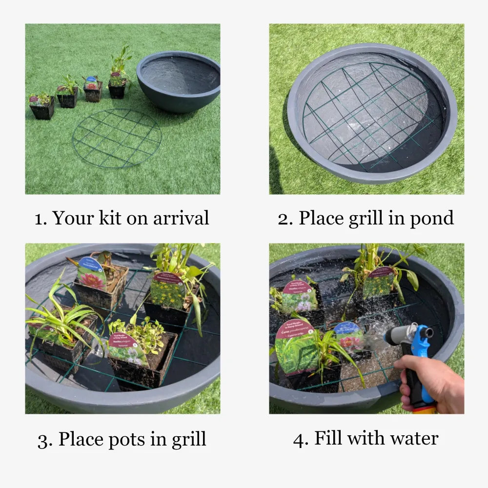 #with Lily #with Deep Water Plant #without Plants (Bowl & Mesh Only) #No Fountain #2.5W Floating Fountain #5W Fountain #2.5W Floating Lily Fountain