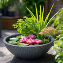 #with Lily #with Deep Water Plant #without Plants (Bowl & Mesh Only) #2.5W Floating Fountain #5W Fountain #2.5W Floating Lily Fountain