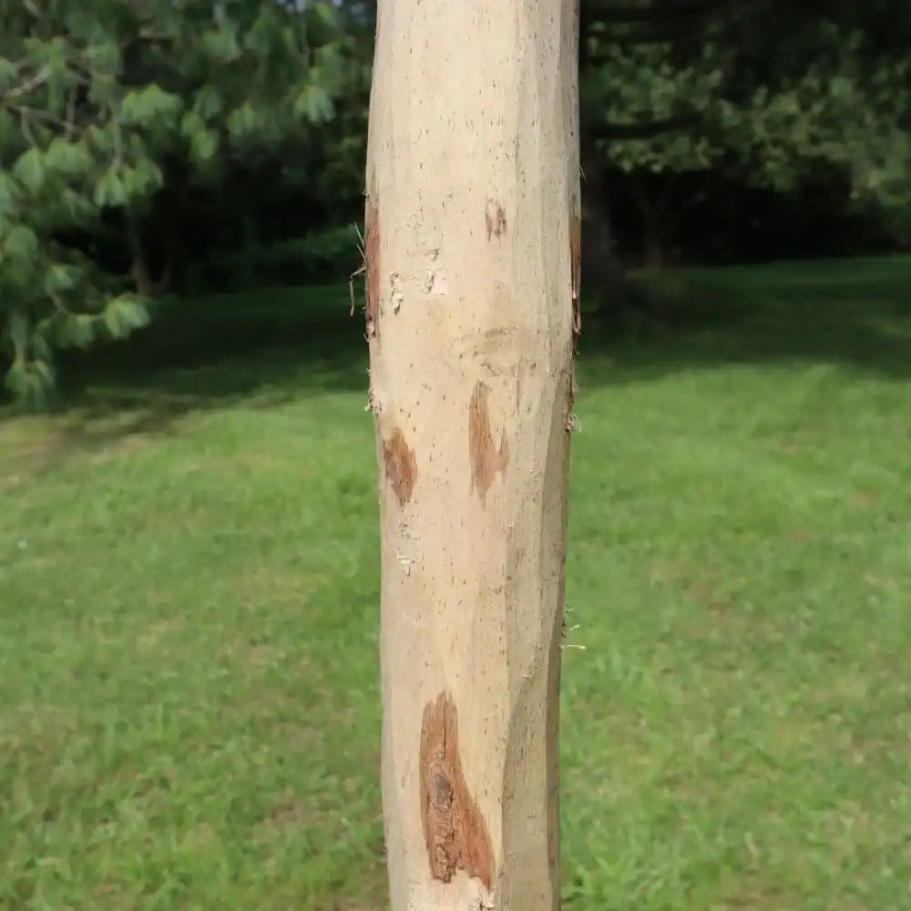 rustic chestnut posts 120 cm handmade woven wood natural