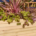 Premier Patio Trough Planter