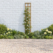 Traditional Square Garden Trellis #6ft x 1ft
