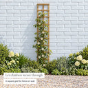 Traditional Square Garden Trellis #6ft x 1ft