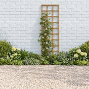 Traditional Square Garden Trellis #6ft x 2ft