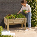 Raised Veg Trug / Planter - raised growing height