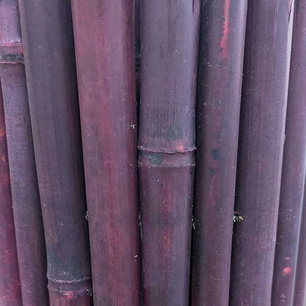 Purple Premium Thick Bamboo Cane Fencing Screening Rolls