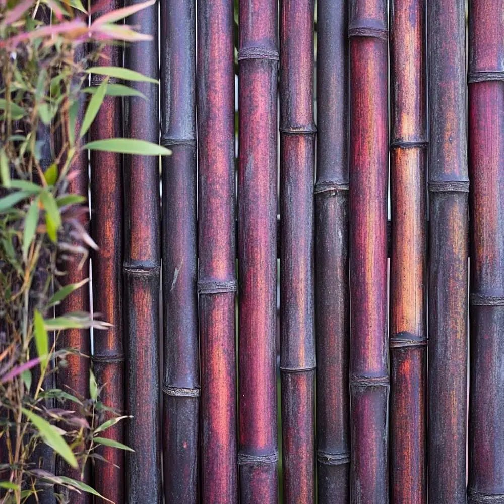 red thick bamboo screening close