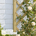 Hidcote Lattice #180 x 60cm