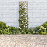 Hidcote Lattice #180 x 60cm