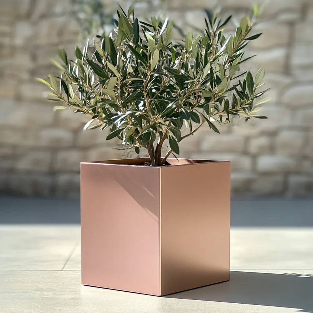 rose gold succulent pot 50cm Zinc Galvanised Brushed Rose Gold Finish Square Planter – Woven Wood