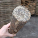 Rustic Chestnut Fence Posts for Hazel Hurdles