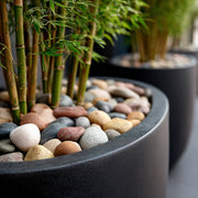 20kg Scottish Decorative Pebbles