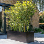 #L100cm x W40cm x H40cm #Black Copper