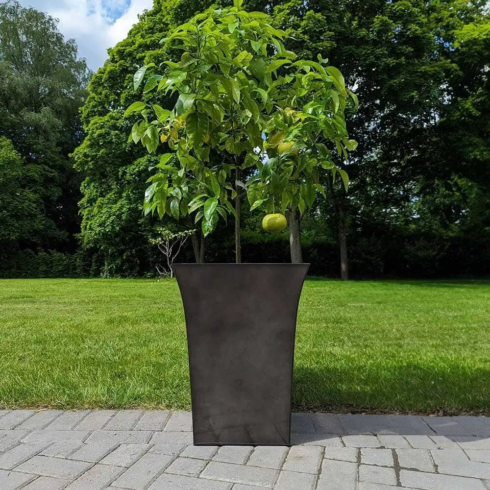Large plant pots strategically placed around a swimming pool
