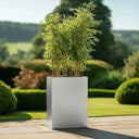 75cm Long Zinc Galvanised Brushed Silver 90cm Tall Trough Planter