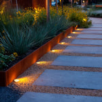 Pathway with illuminated lights and plants on a blurred background