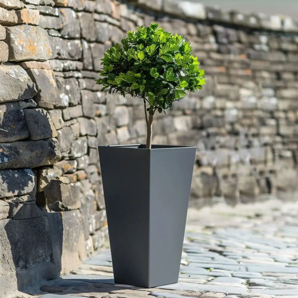 A tree planter standing proud amidst the garden.
