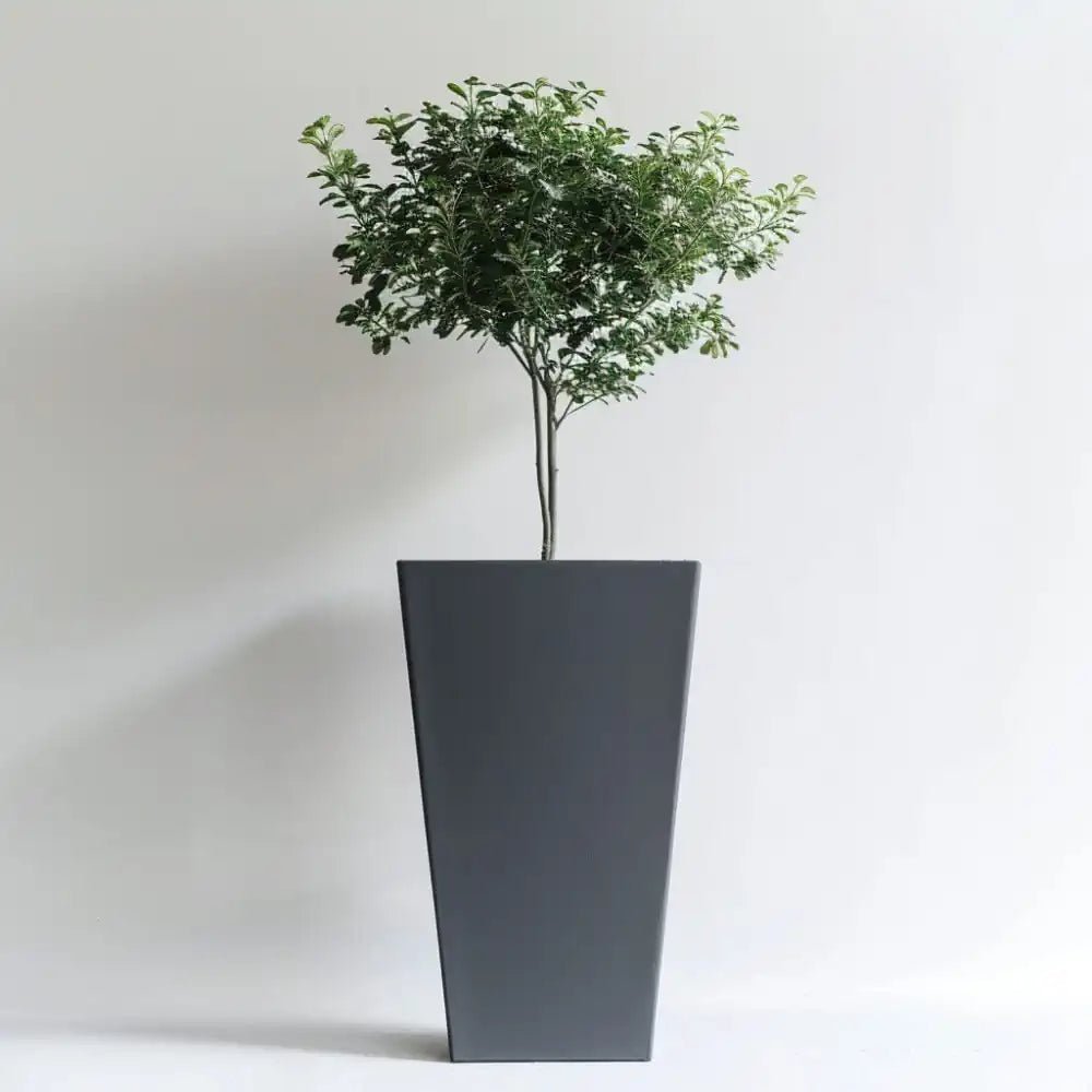 standing planter large indoor plant pots woven wood