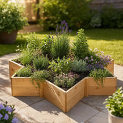 Premium Star Wood Raised Bed