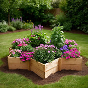 Premium Star Wood Raised Bed