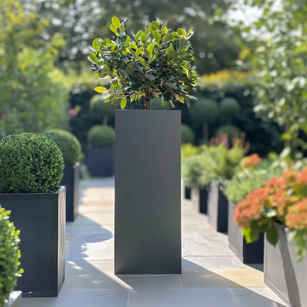 A spacious large standing trough planter, perfect for herb gardening.