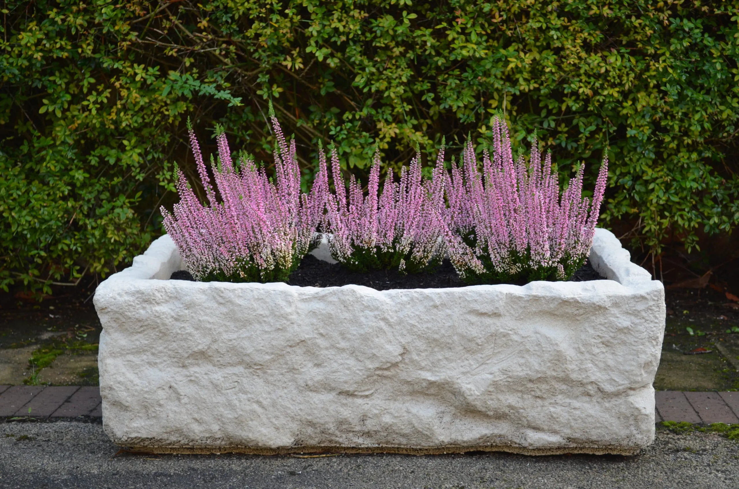 Customisable Stone Alpine Trough